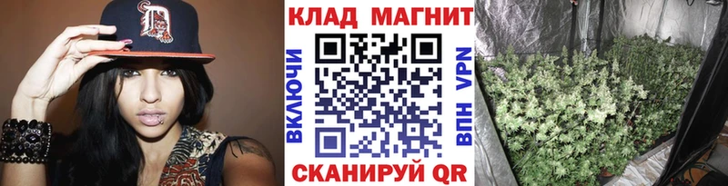 Наркотические вещества Дно Галлюциногенные грибы  Бошки Шишки  МЕФ  Гашиш  APVP 