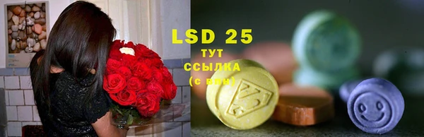 гидропоника Лагань