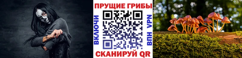 Галлюциногенные грибы Magic Shrooms  купить наркоту  Дно 